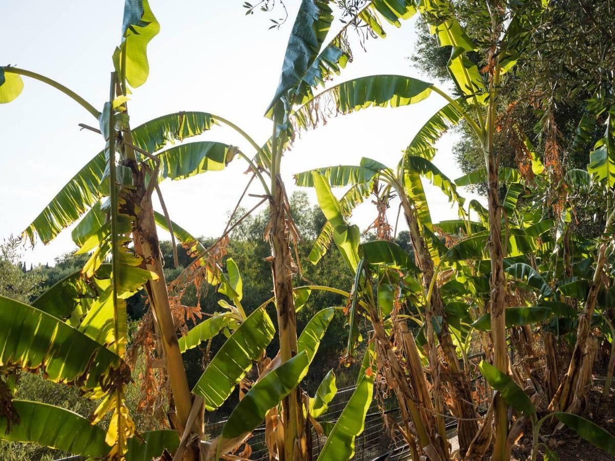 Zoumpouli Village Spartia  Luaran gambar